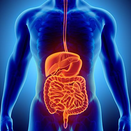 Gut health